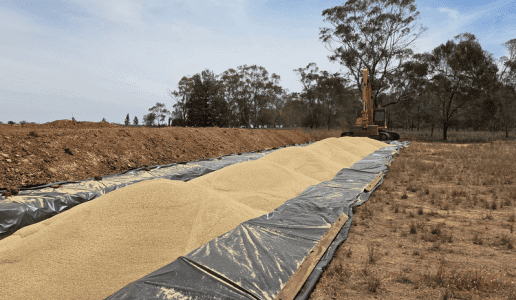 Feedgrain Focus: Markets firm as growers hold