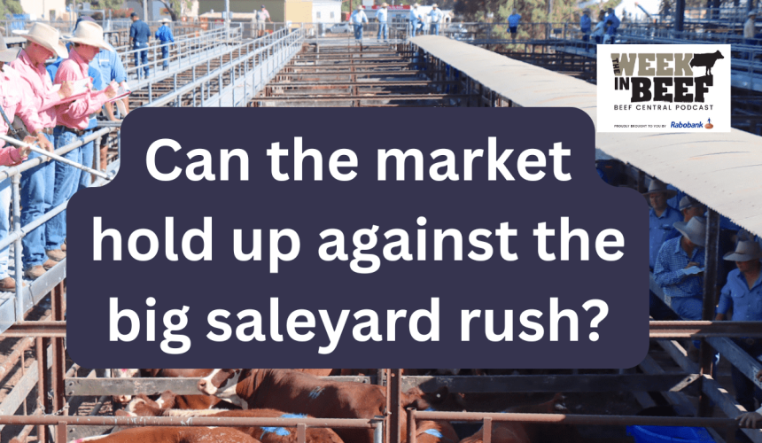 Week in Beef: Big saleyard rush | Future of live export | New largest city in the world