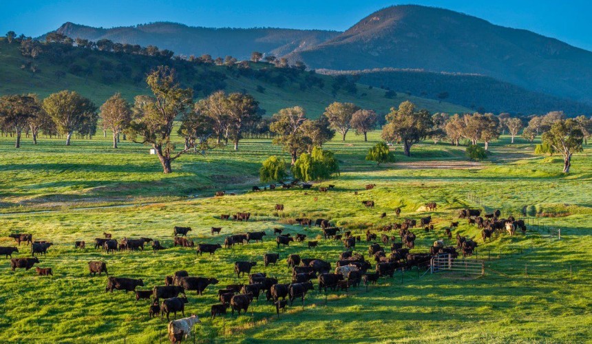 Movement at the Station: Recent property listings in VIC and SA