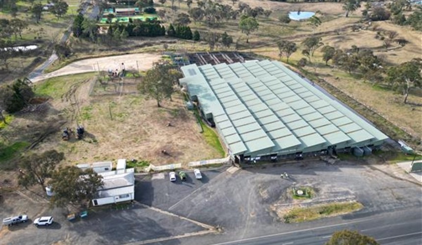 $20m grants revitalise three sets of NSW regional saleyards