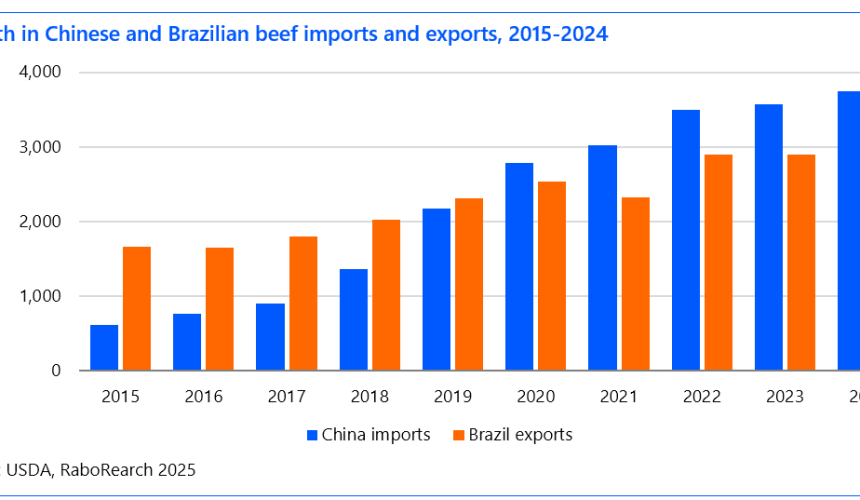 Global beef trade set for continued growth despite volatility