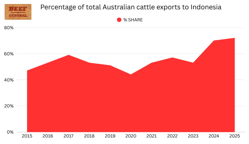 Indonesia revs up as engine room of Aus cattle export trade in 2025