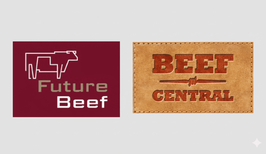 BeefConnect webinar: Boosting North Australian breeder performance with pasture management