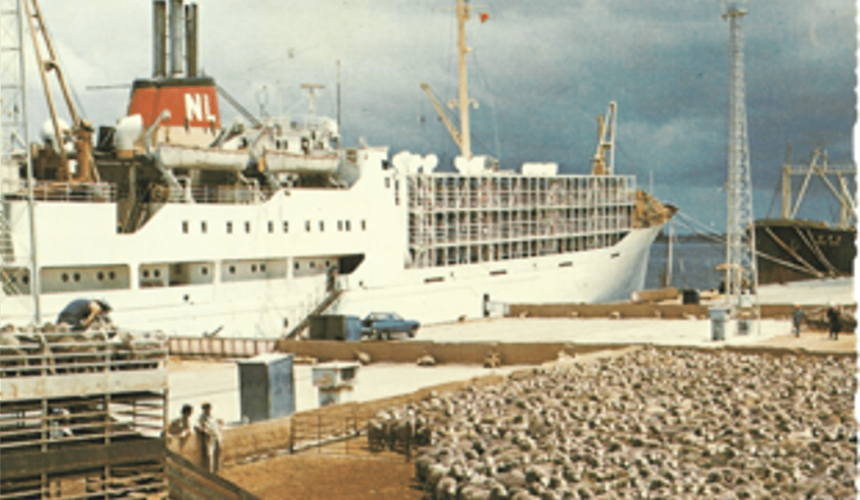 A journey through 50 years of WA sheep and cattle export history