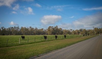 Insurance stats reveal high impact of rural crime on Australian farmers