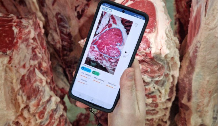 MEQ lands $23m to redefine how value is created in red-meat trade