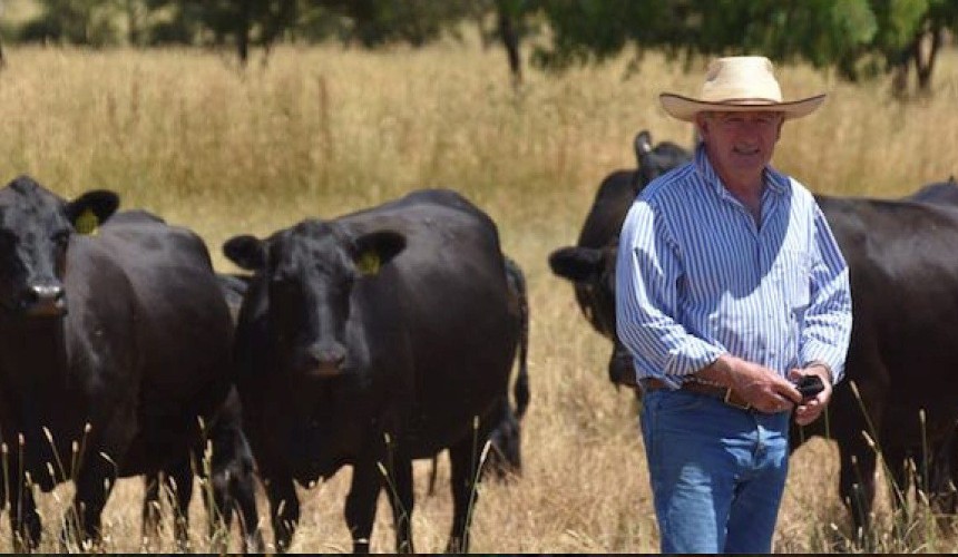 Western Vic Angus producer’s lessons from the drought shows young cattle fed TMR can marble