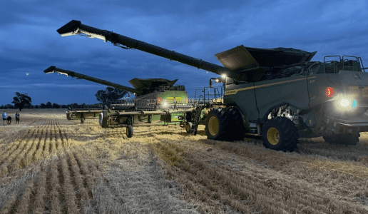 Feedgrain Focus: South rallies on slow wheat harvest