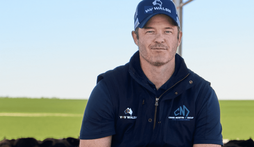 Processor confident of WA sheep rebuild, as new China beef market boosts feedlot balance