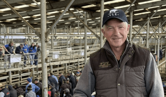 Saleyards operator RLX adds Victoria’s Leongatha to portfolio
