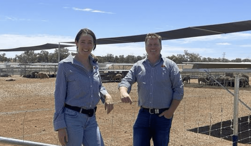 Southern Beef and Lamb School to debut at Wagga Wagga in February