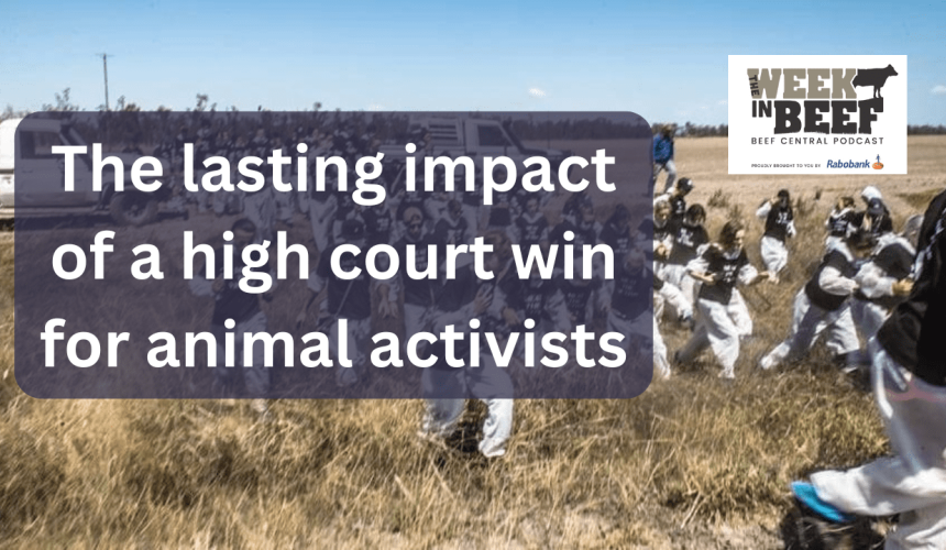 Week in Beef: Big numbers hit saleyards | Activists high court win | State of play in WA