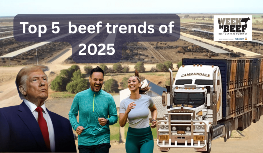 Week in Beef: Top trends that defined 2025 “the Goldilocks year”