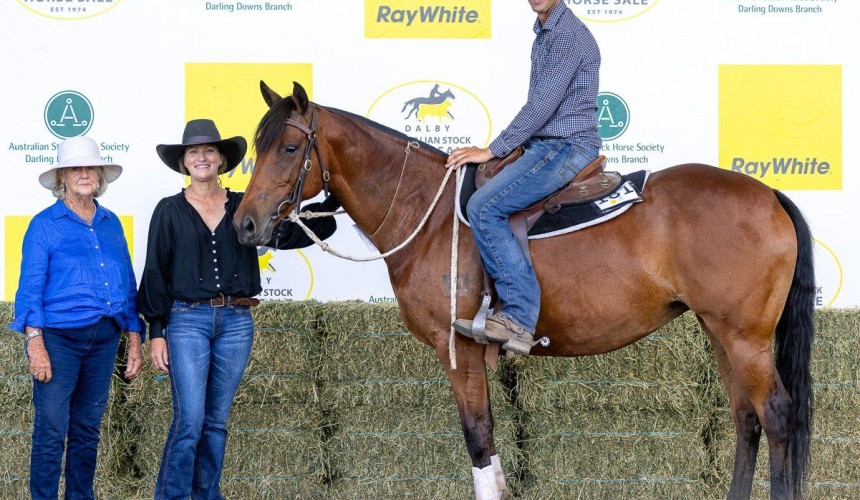 Mares top $170,000, geldings $110,000 at record-setting Dalby Stock Horse sale