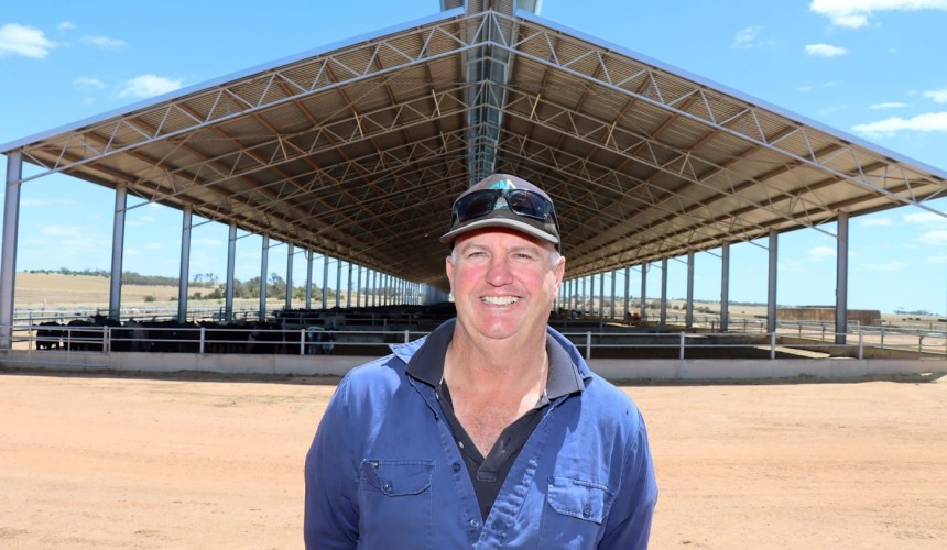 State of play in WA: The story behind the sheds at Ucarty feedlot