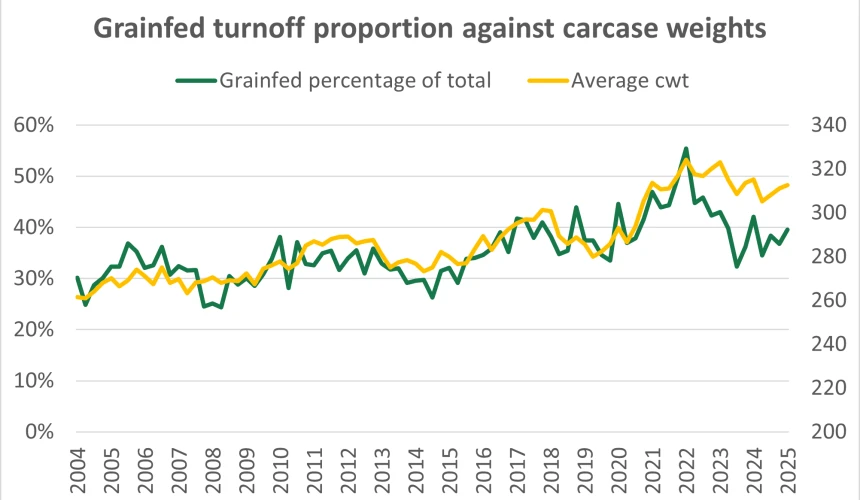 Carcase weights down slightly, but staying on long-term rising trend