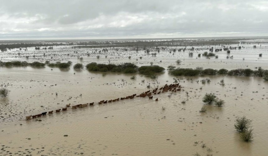 North-West Qld flood damage “right up there”, with significant losses expected