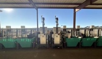Three devices bringing cattle performance data from intensive feeding into paddocks