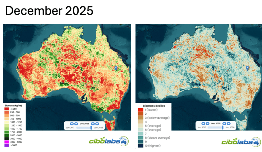 Pasture biomass maps reveal major seasonal swing for cattle producers over past year