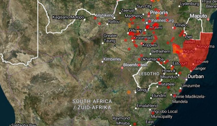 South Africa’s Foot and Mouth Disease crisis will take ten years to combat