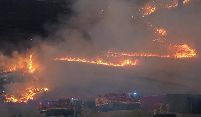 Fires and dry force early turn off of cattle in Victoria