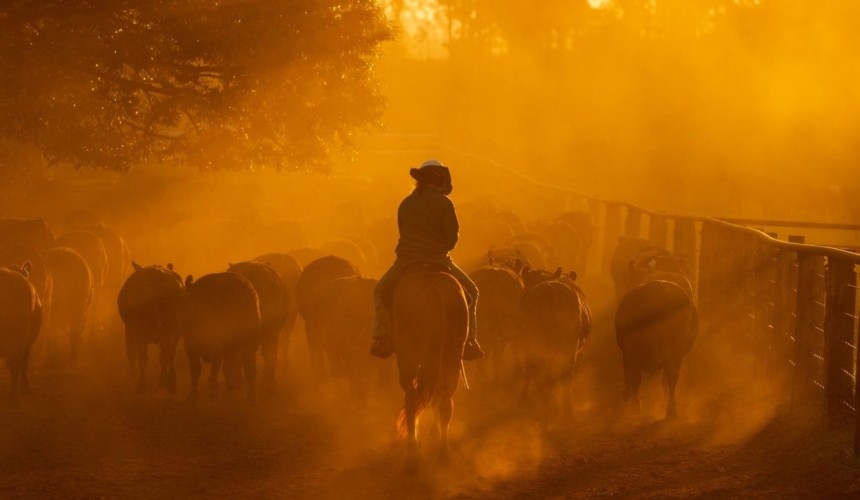 Timely stock management reminders during current heat stress event