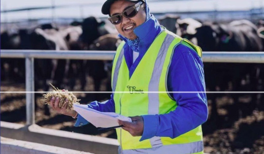 Recruitment: Offshore labour use growing in feedlot sector