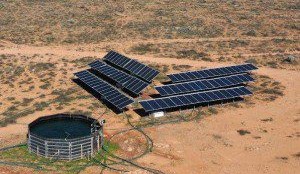 CPC creates giant WA sheep station aggregation with Madura Plains purchase