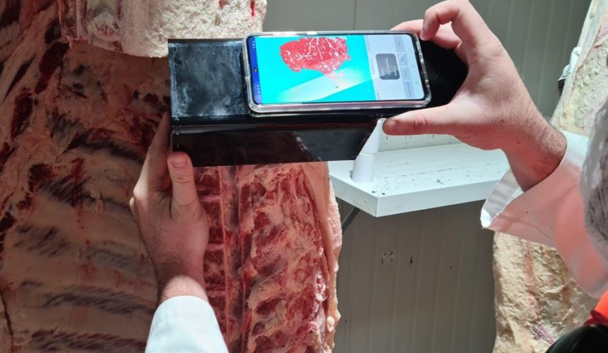 Nominations now open for Beef Australia 2027 National Carcase Competition