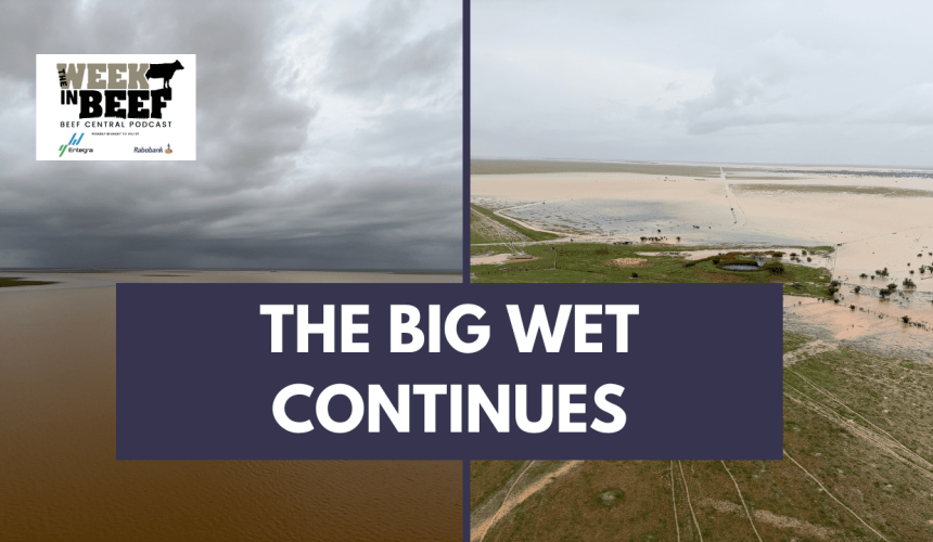 Podcast: Major feedlot sold | Murray Watt on EPBC | Floods headed for the channels