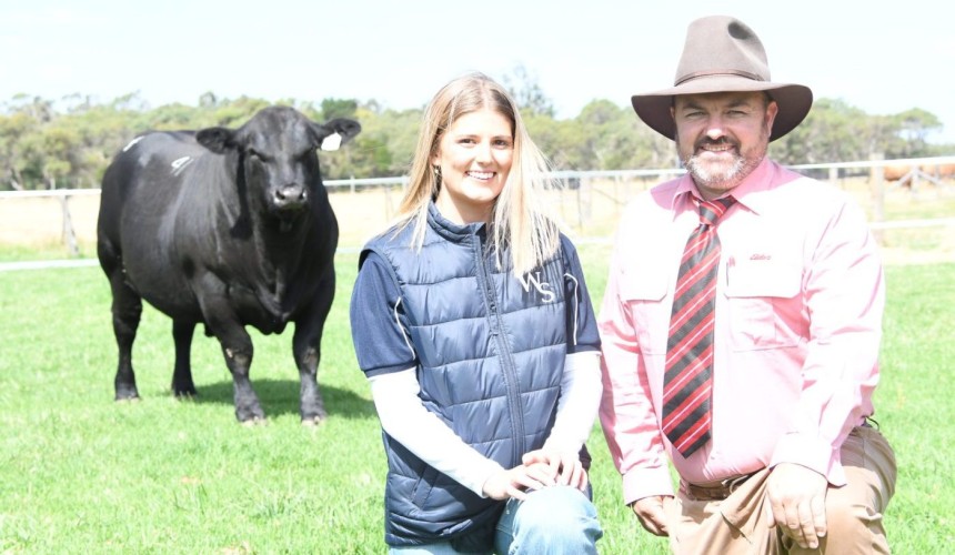 Autumn bull sales off to a solid pace, including new breed record