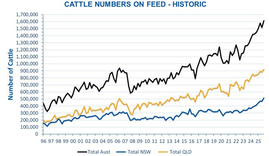 Feedlot numbers crack new record, hitting 1.6m head in December quarter