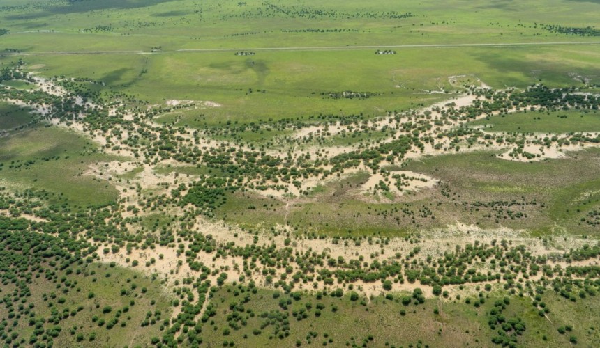 North-West Qld flood stock losses rise to over 90,000 and more rain falling