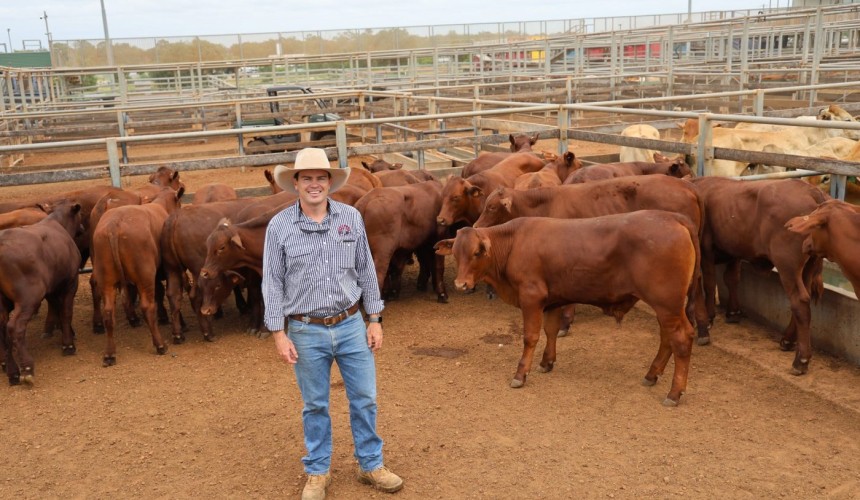 Roma sale 24 Feb 2026: Rain boosts competition from restockers