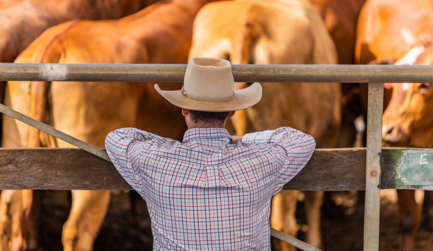 Weekly genetics review: While you were watching your competitors, the genetic gap widened