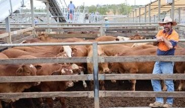 Roma sale 3 Feb 2026: Prices stabilise after earlier declines