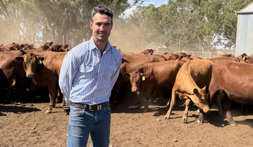 Emerald genetics forum to focus on the future of northern beef production