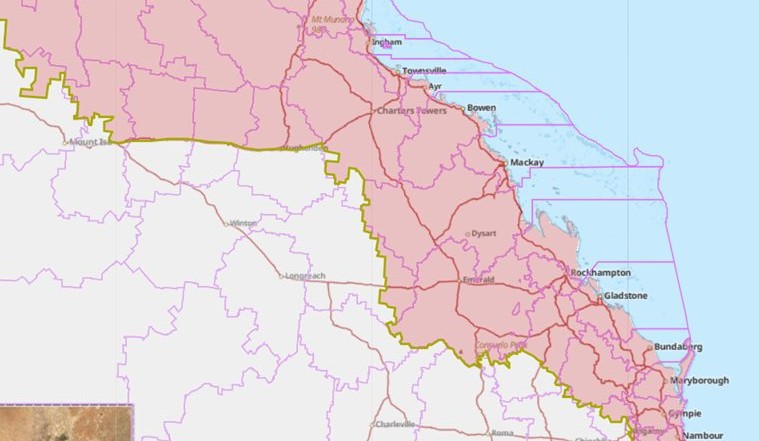 Qld Government announces review into cattle tick management
