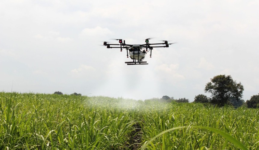 AI isn’t likely to wipe out all farming jobs – but it is changing who bears the risks