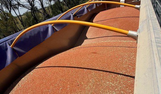 Feedgrain Focus: Strong AUD, dry conditions stymie sales