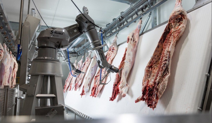 AI-driven beef scribing tech trialled at two processing plants + VIDEO