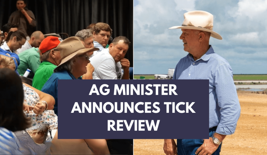 Podcast: Tick review announced | What questions does research need to answer?