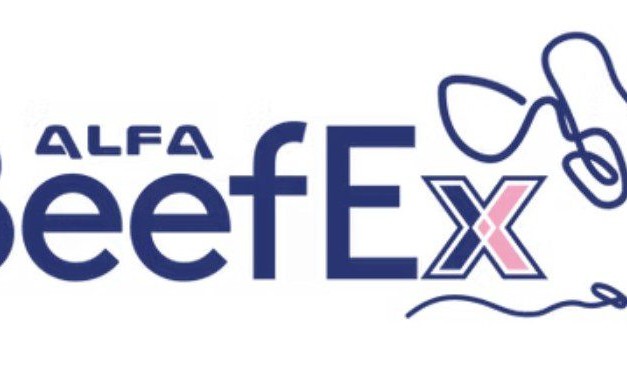 Registrations open for feedlot sector’s biennial BeefEx conference