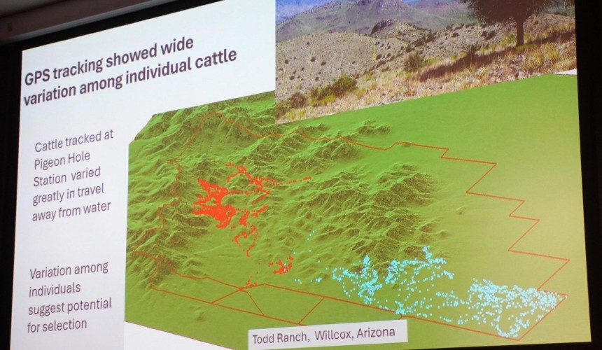 Better understanding of grazing distribution spells opportunity, says US researcher