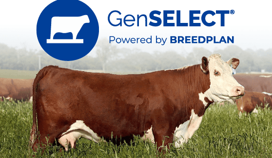 Commercial Hereford breeders access powerful new genomics tool