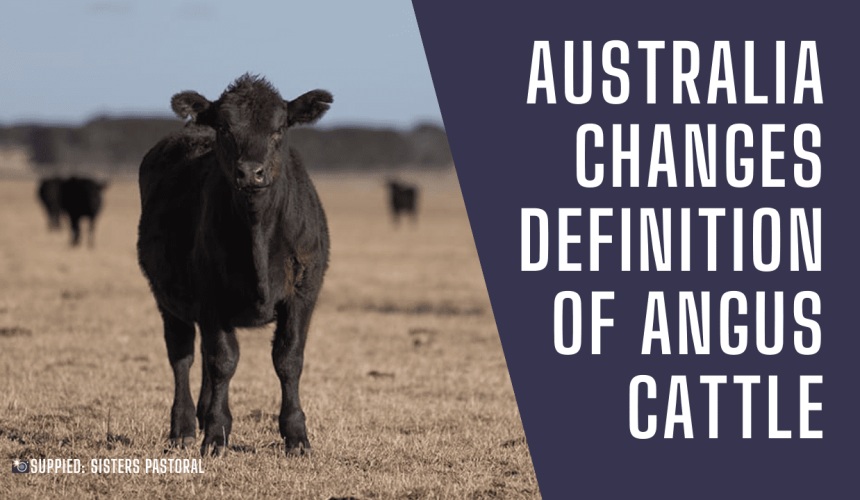 Podcast: 50pc Angus verdict | Cost of a tick outbreak | Iran war’s impact on agriculture
