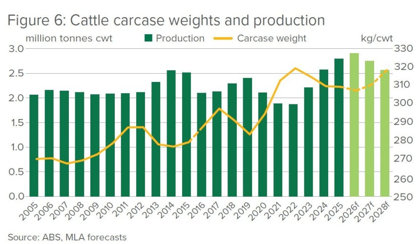 Record beef production forecast for 2026 as cattle herd remains above 30m head