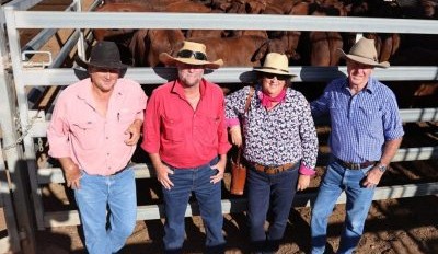 Roma sale 24 Mar 2026: Numbers surge to 7521, cows trend down