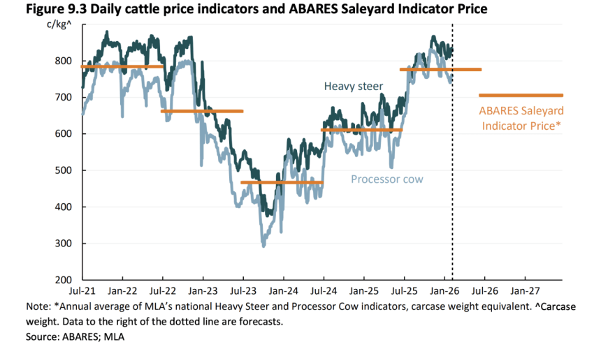 Cattle prices to slip in 2026-27 as global pressures mount, but still above long-term average