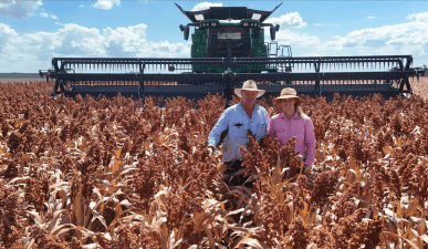 Feedgrain Focus: Fuel feeds into higher delivered values